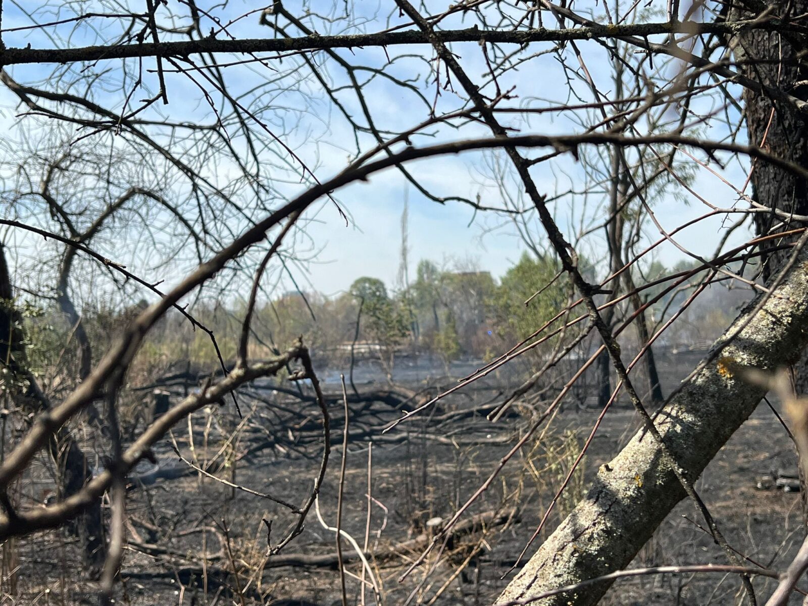 Judecătoria București a reluat procesul în cadrul căruia Grupul Civic IOR-Titan contestă legalitatea retrocedării celor 12 hectare din Parcul IOR, după mai mulți ani de încercări și tergiversări