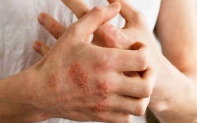 Marketa-Gregorova-1.jpg - Presa360