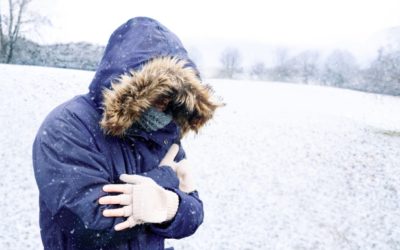 NDYzZTQ0NzFkMDJkNzgwMTliZmIxZDM2YjI5ZWQ.thumb_.jpg - Presa360