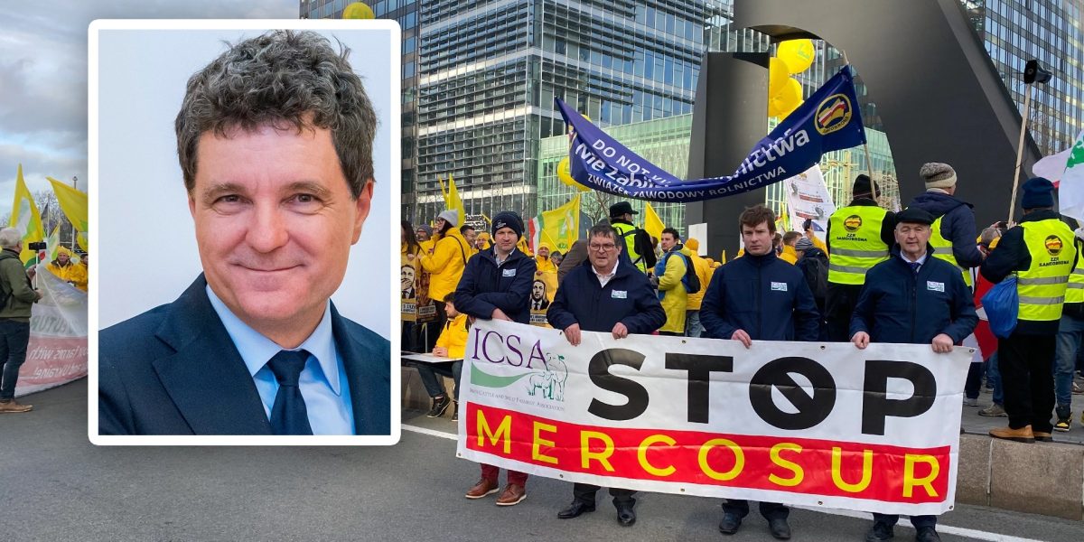 Nicusor-Dan-spune-ca-Romania-sustine-acordul-Mercosur.webp.jpeg - Presa360