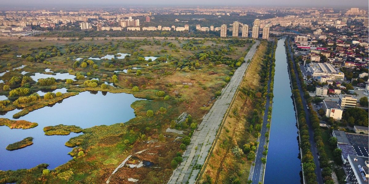 Parcul-Natural-Vacaresti.jpeg - Presa360