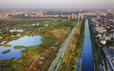 Parcul-Natural-Vacaresti.jpeg - Presa360
