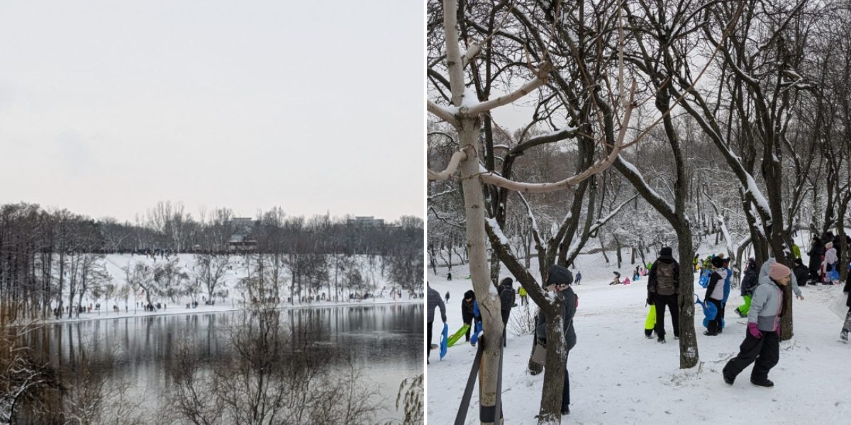 Parcul-Tineretului-partie.jpg - Presa360