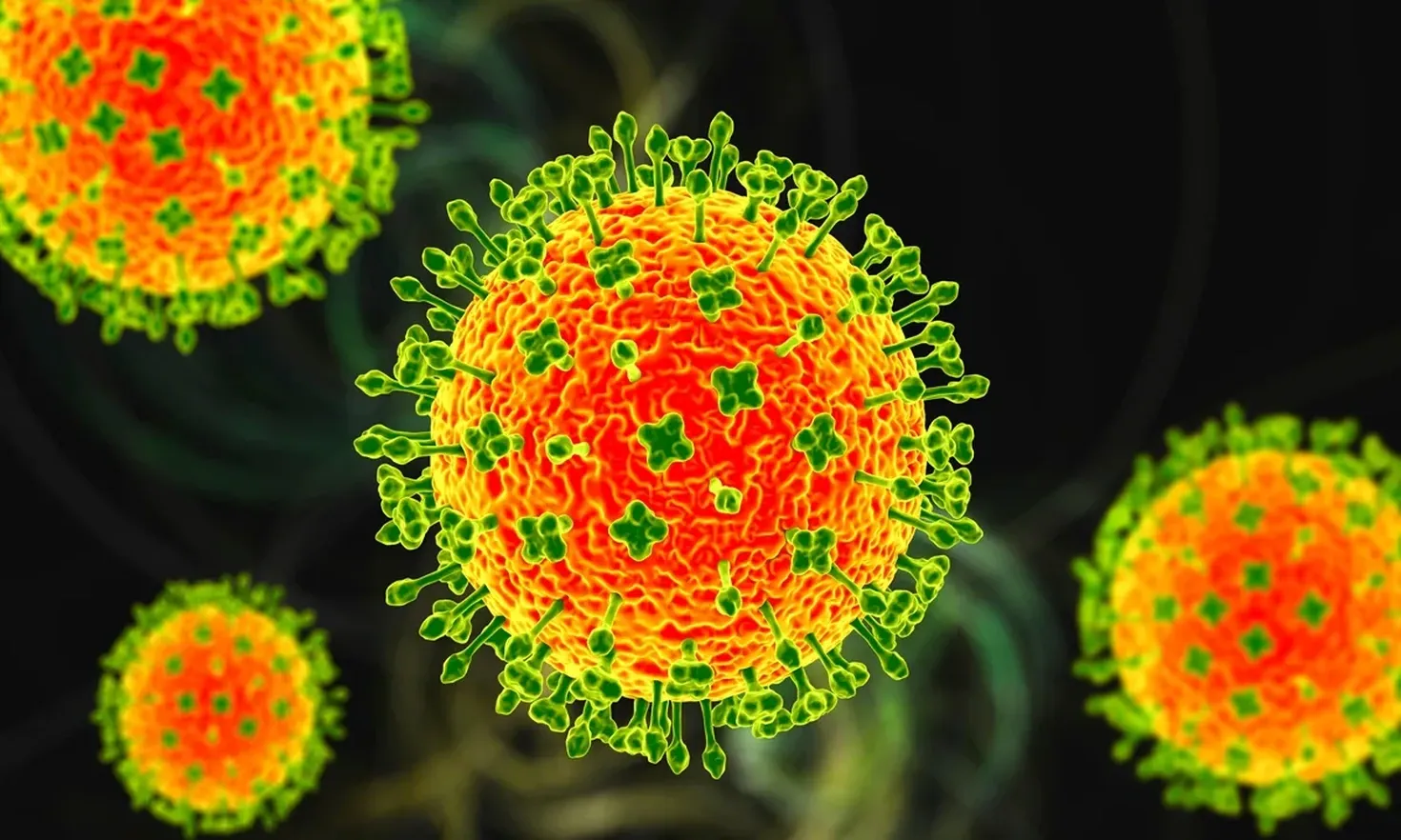 Virusul Nipah lovește din nou: India în alertă după cazuri suspecte În urma unor cazuri recente, India se află în stare de alertă din cauza virusului Nipah, o maladie infecțioasă cu o rată a mortalității între 40% și 75%
