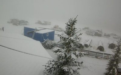 WhatsApp-Image-2025-09-29-at-10.14.41.jpeg - Presa360