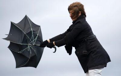 aGFzaD0zNDUyYjgxN2M5Nzk2MDIxODQ2YmEwNDc0ODYzN2MyMg.thumb_.jpg - Presa360