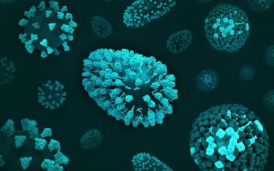 admin-ajax-5-1.jpeg - Presa360