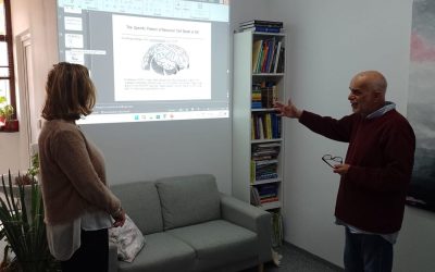 alzeimer-1-1400x875-1.jpg - Presa360