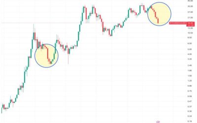 bd0c622f5b6e2a79489c2f09c02e7be8ffaf118a-2562x1988.png - Presa360