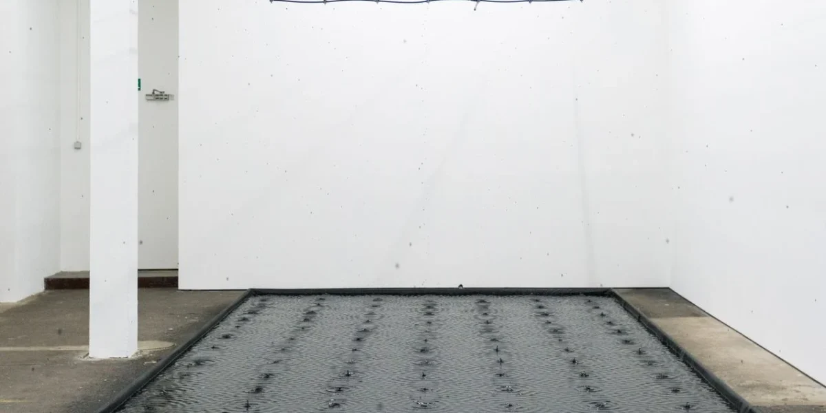 belu-simion-fainaru-contemporary-artist.webp.webp - Presa360