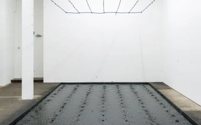 belu-simion-fainaru-contemporary-artist.webp.webp - Presa360