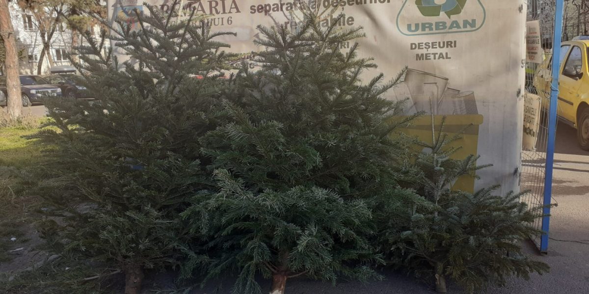 brazi.jpeg - Presa360