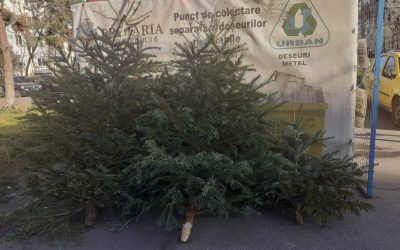 brazi.jpeg - Presa360