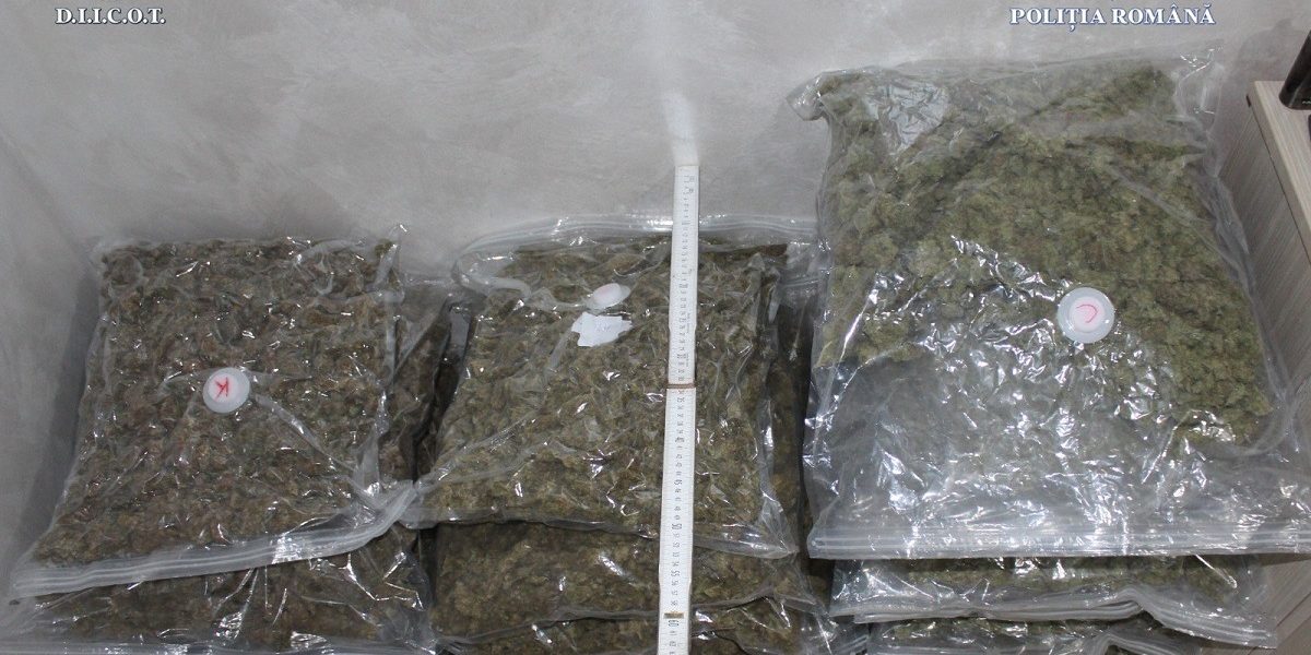 canabis.jpeg - Presa360