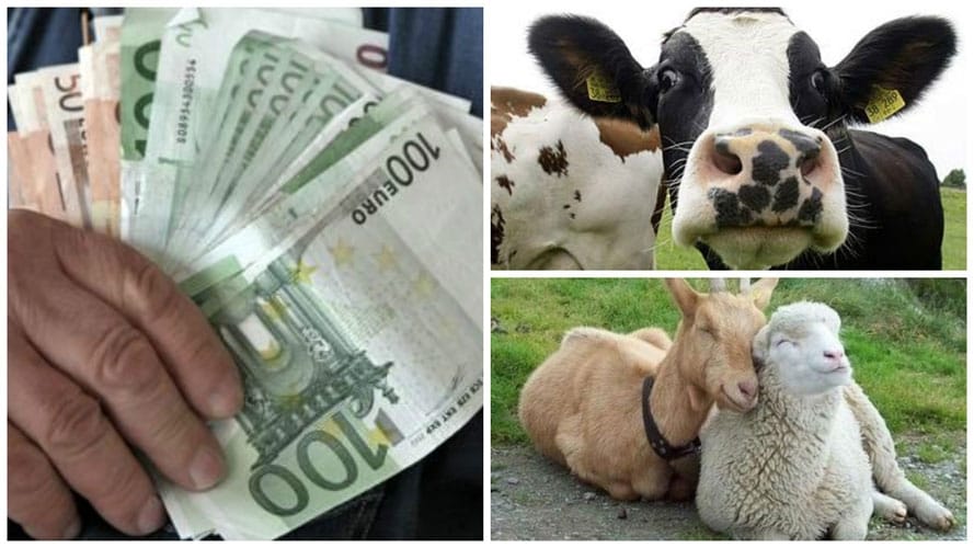 colaj-plata-animale_o.jpg - Presa360