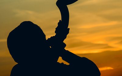 dreamstime_m_112073908-e1767972871738.jpg - Presa360