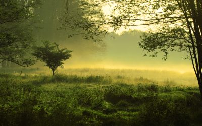 dreamstime_m_4953634.jpg - Presa360