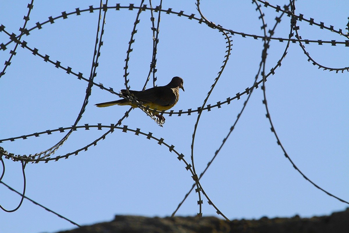 Zeci de familii de imigranți protestează în Texas, cerând oprirea imigrației forțate și eliberarea celor reținuți Un mic orășel din Texas a fost scena unui protest spontan și emoționant, sâmbătă, înfățișând disperarea și frustrarea familiilor de imigranți reținuți de autoritățile americane