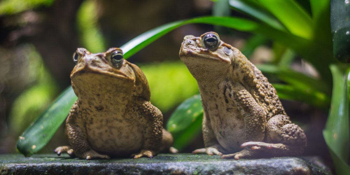 dreamstime_xl_123690325.jpg - Presa360