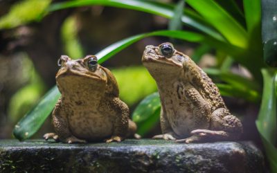 dreamstime_xl_123690325.jpg - Presa360