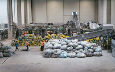 edi1142.jpg - Presa360