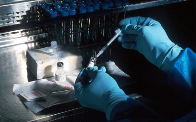 genetica.jpg - Presa360