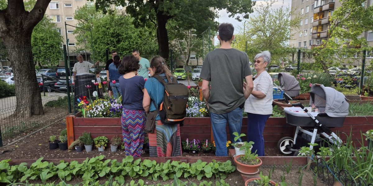 gradinile-comunitare1-debrecen.jpg - Presa360