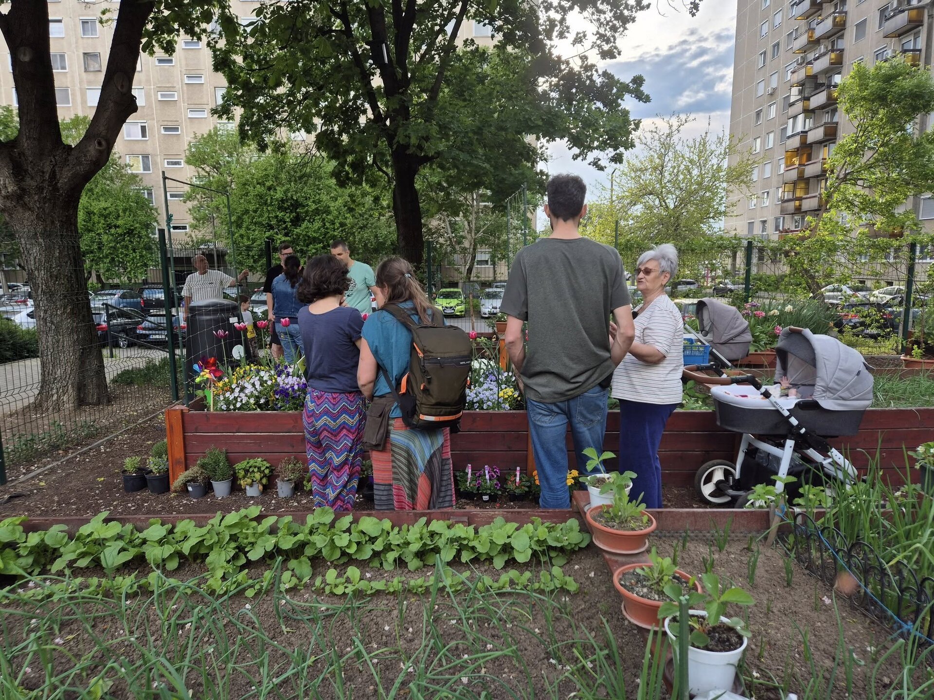 Zeci de organizații și grupuri civice din București și alte orașe ale țării fac un apel vehement către autoritățile locale, cerând legalizarea grădinilor comunitare pe domeniul public