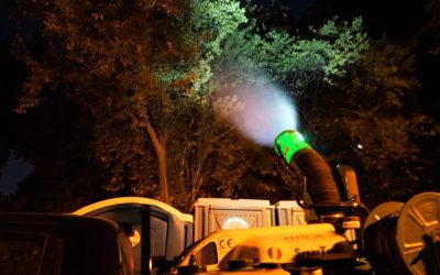 hartaliveantintari.jpg - Presa360