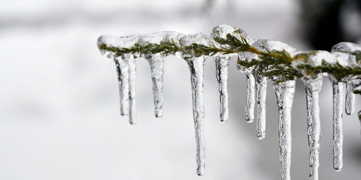 ice-1343342_1280.jpg - Presa360