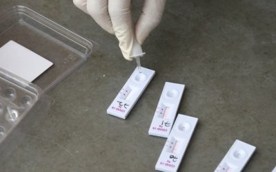 img-1-1.jpg - Presa360