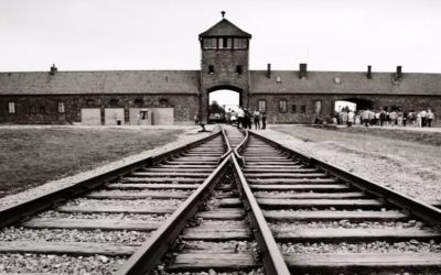 instagram-zdjecia-auschwitz-birkenau-1180x541-1-1000x485.jpg - Presa360