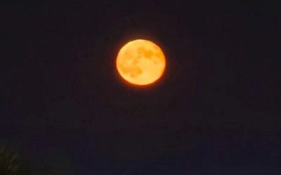 luna-4-e1767379918868.jpg - Presa360