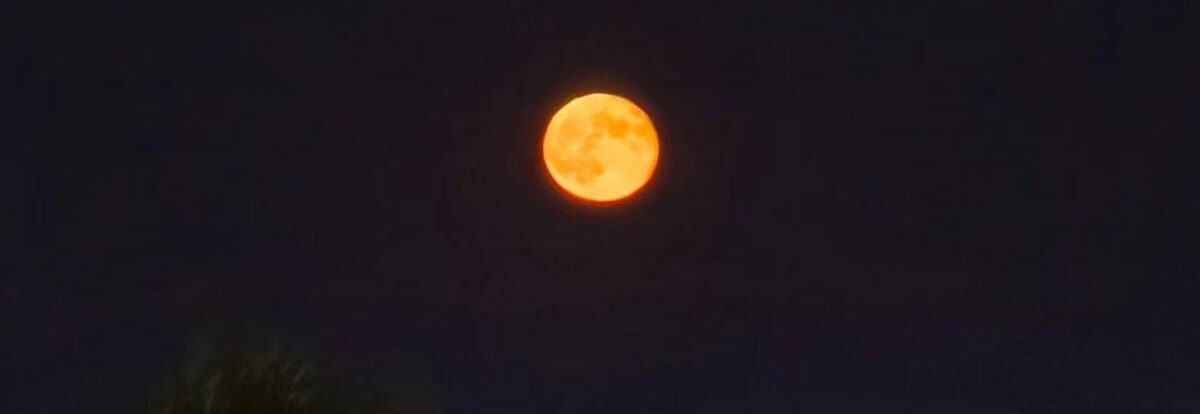 luna-4-e1767379918868.jpg - Presa360