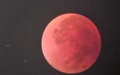 luna-sangerieeclipsa-3.jpeg - Presa360