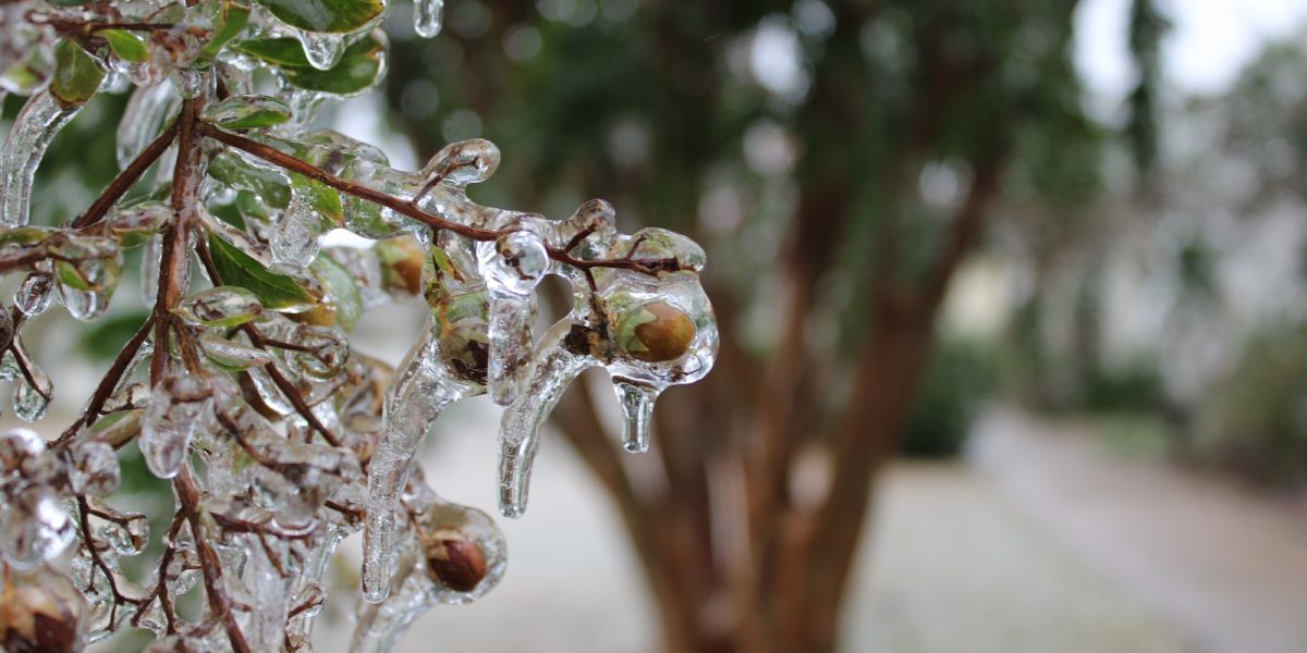 meteo-1.jpg - Presa360