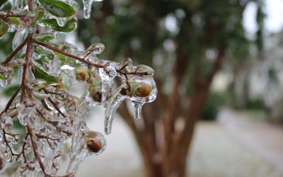 meteo-1.jpg - Presa360