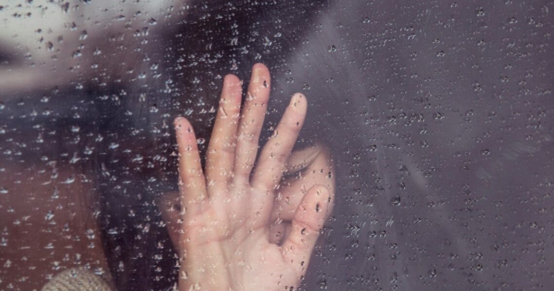 milada-vigerova-kT0tsYZ2YE0-unsplash-e1717931877253.jpg - Presa360