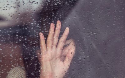 milada-vigerova-kT0tsYZ2YE0-unsplash-e1717931877253.jpg - Presa360