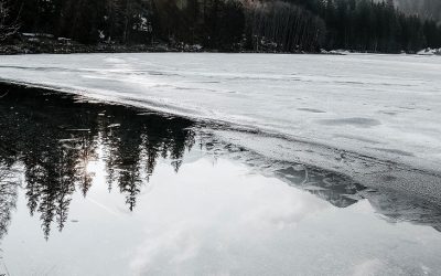 pexels-eberhard-grossgasteiger-2086267.jpg - Presa360