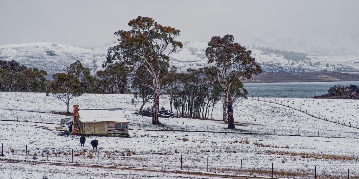 pexels-mark-thomas-2149938474-30979871.jpg - Presa360