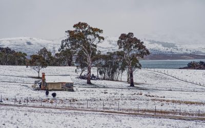 pexels-mark-thomas-2149938474-30979871.jpg - Presa360