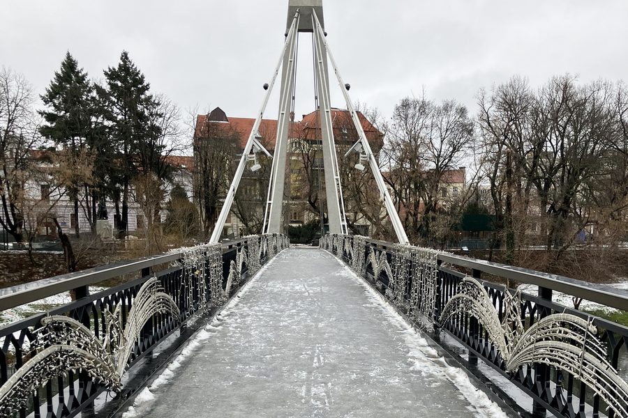 podul-intelectualilor-din-oradea.jpg - Presa360