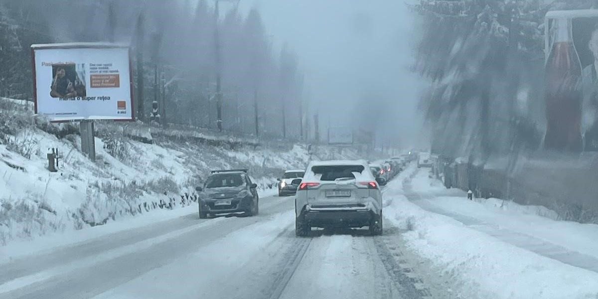 poza-art.jpeg - Presa360