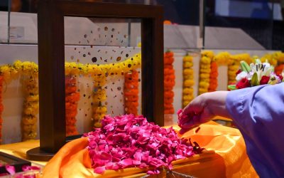 profimedia-1026803337.jpg - Presa360