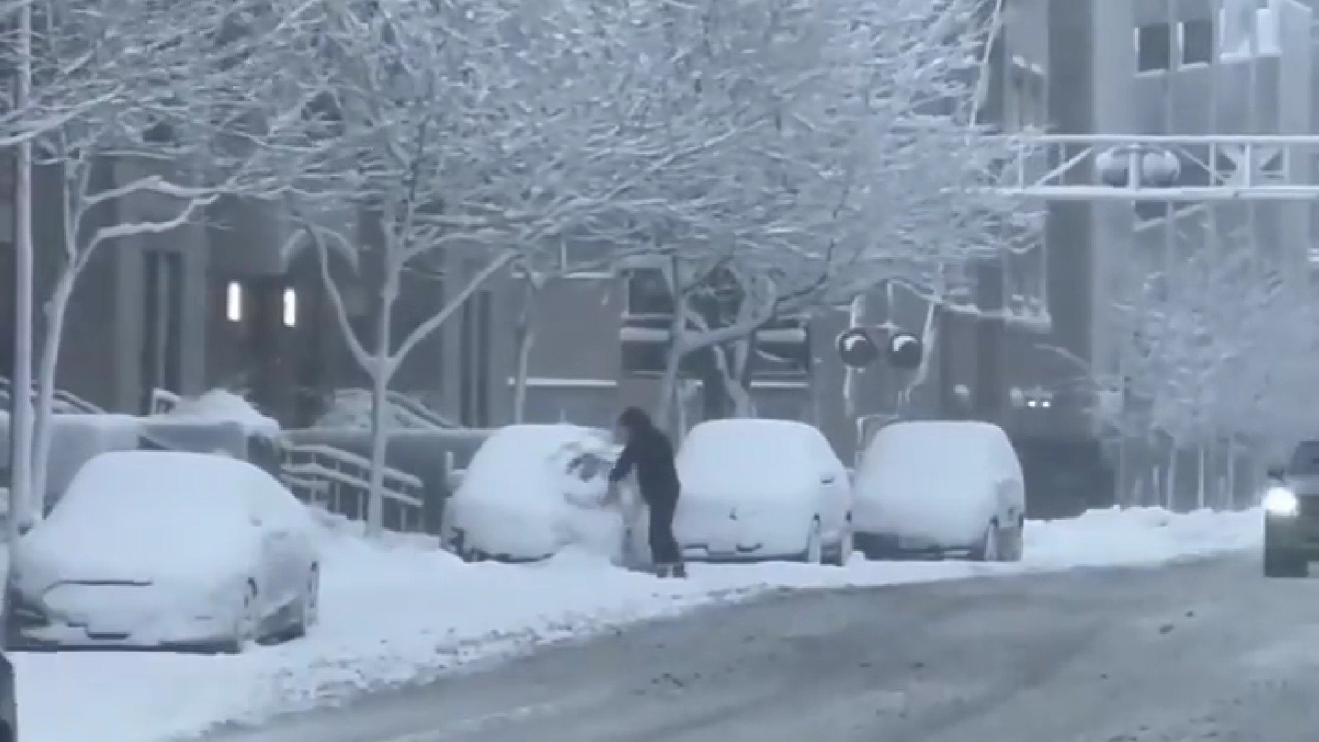 Milioane de americani se pregătesc pentru cea mai mare furtună de iarnă din ultimii ani, un fenomen meteorologic sever care riscă să impacteze o treime din populație și să provoace haos în transporturi, utilități și activități cotidiene