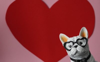 13-19-februarie_pixabay.jpg - Presa360