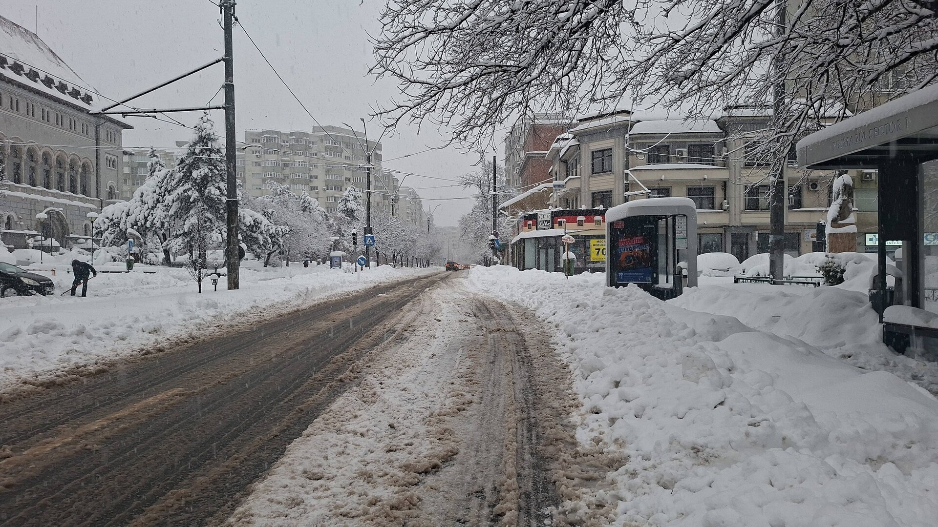 În contextul ninsorilor abundente care au paralizat capitalele și zonele adiacente, autoritățile din Sectorul 1 al Bucureștiului au intensificat eforturile de a asigura siguranța și sprijinul cetățenilor