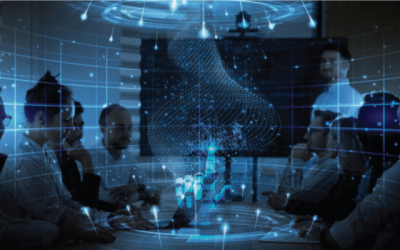 Comisiile de apărare din Parlament verifică raportul de activitate al Serviciului de Telecomunicații Speciale pentru 2024