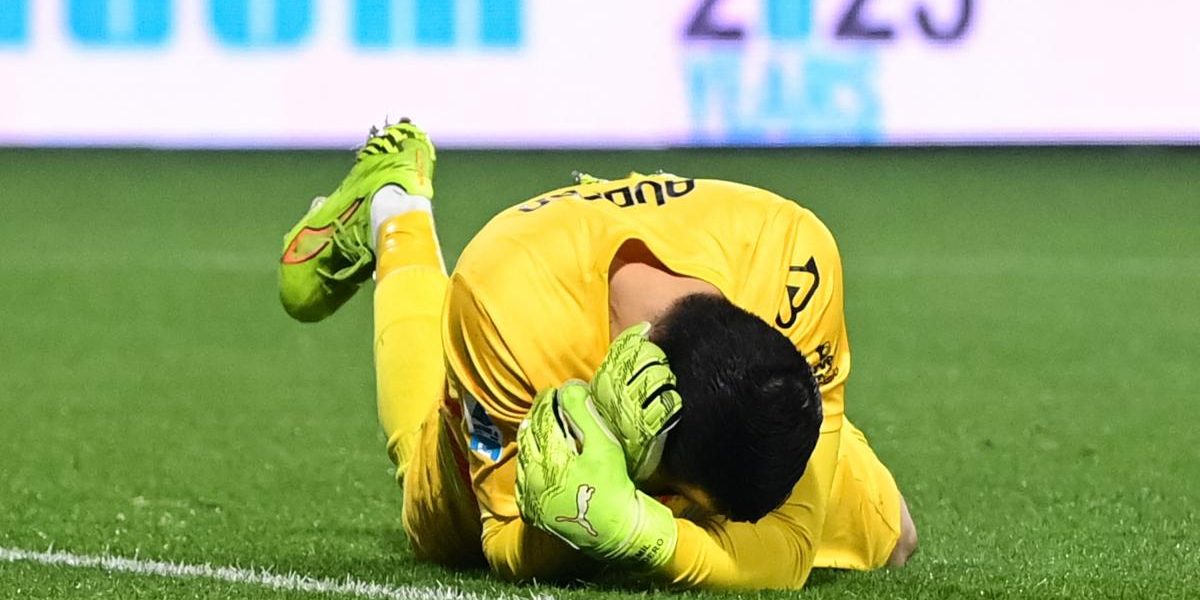 6981982826cbb.jpeg - Presa360